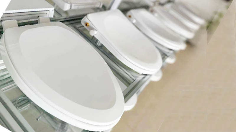 Bidet Toilet Seat - the Caring Choice for A Pampered Home